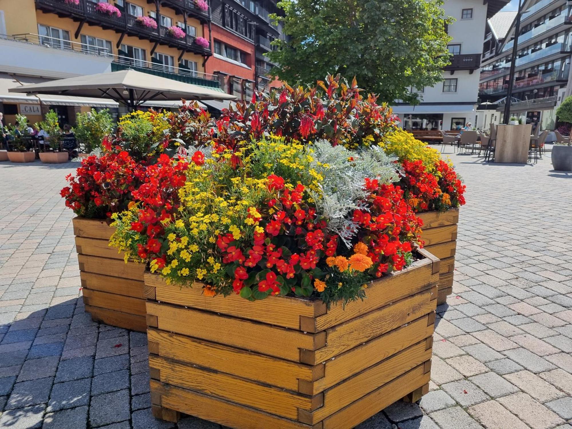 Appartement Bergsee Sun - Am Wildsee - Atemberaubende Aussicht Seefeld in Tirol Exterior foto