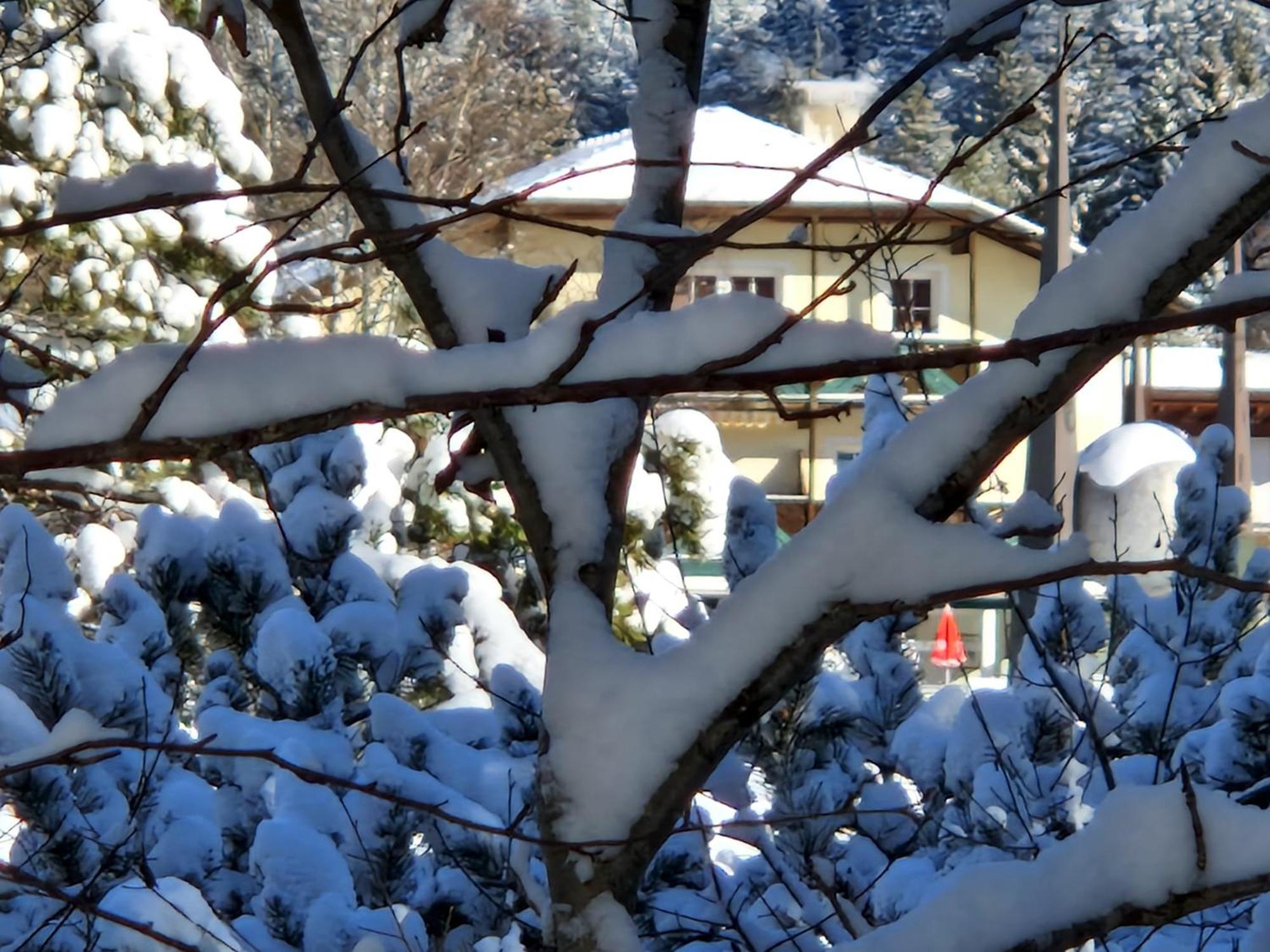 Appartement Bergsee Sun - Am Wildsee - Atemberaubende Aussicht Seefeld in Tirol Exterior foto